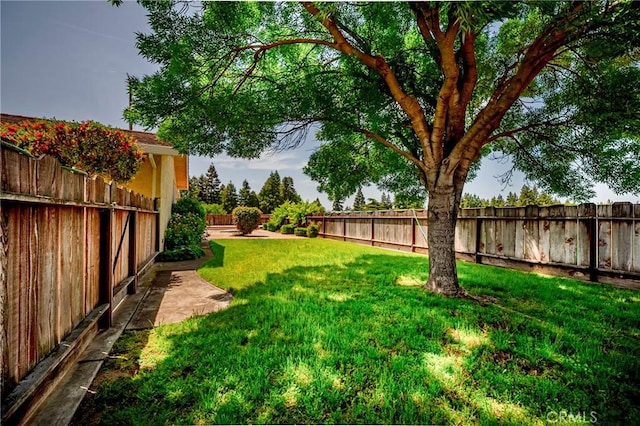 5388 Moran Ave, Atwater, CA 95301 - photo 58
