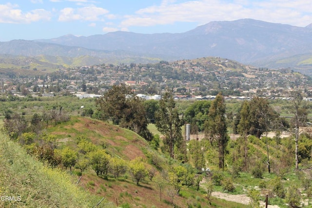 17000 S Mountain Rd, Santa Paula, CA 93060 - mountain view