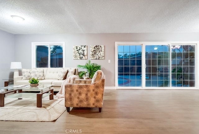 living area with wood finished floors and a textured ceiling