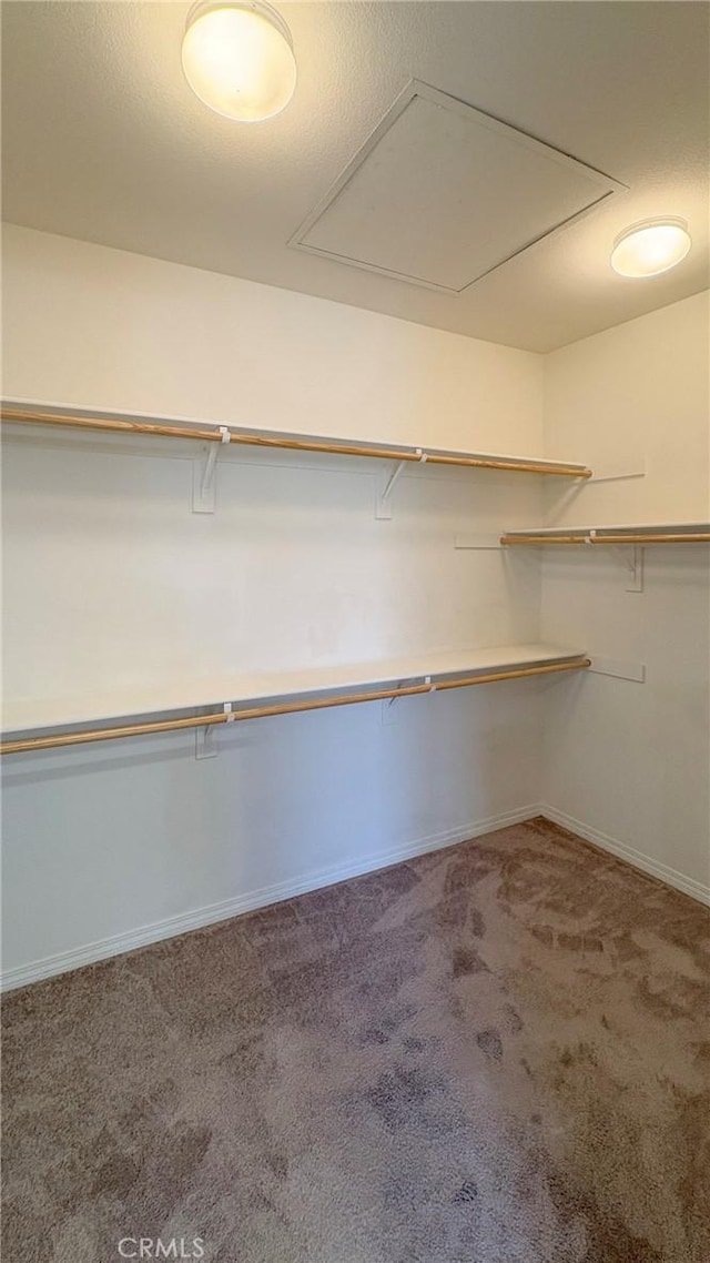 14247 Symphony Ct, Eastvale, CA 92880 - walk in closet with attic access and carpet