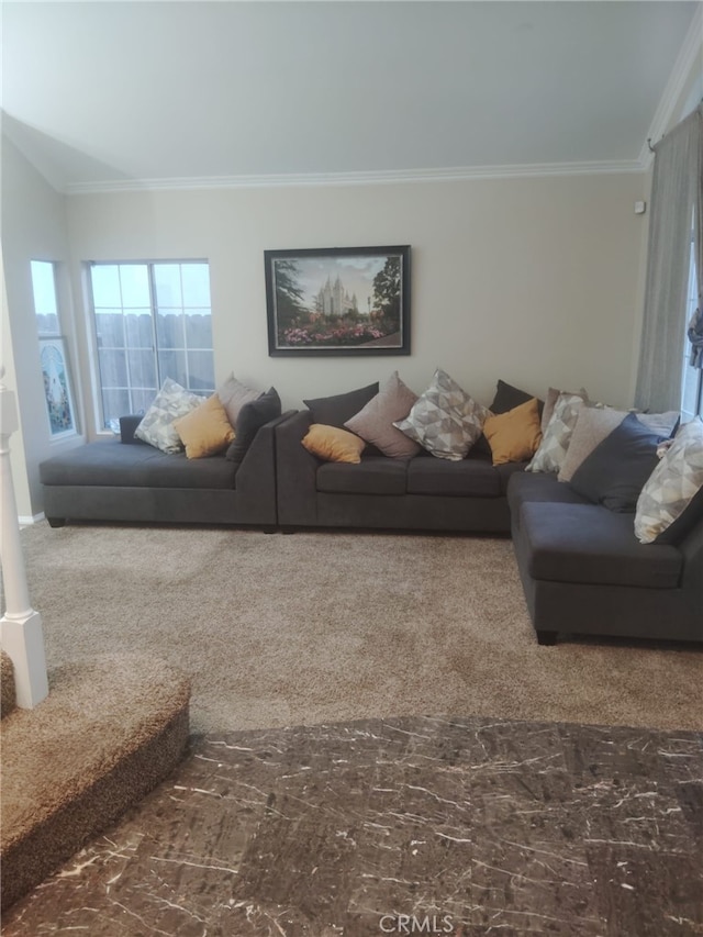 10228 Via Pavon, Moreno Valley, CA 92557 - living area featuring crown molding and carpet flooring