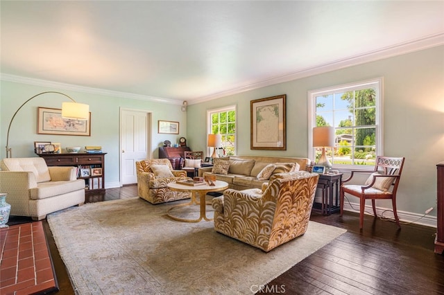 6616 Langdon Ave, Van Nuys, CA 91406 - living room with crown molding, dark wood-style flooring, and baseboards