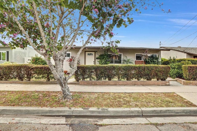 7977 Pala St, San Diego, CA 92114 - photo 3