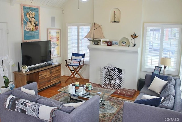 living room featuring wood finished floors and healthy amount of natural light