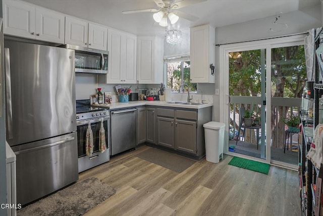 kitchen featuring appliances with stainless steel finishes, a sink, gray cabinets, a ceiling fan, and light wood-type flooring
