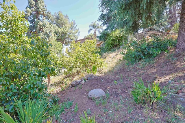11825 Taia, Lakeside, CA 92040 - photo 22