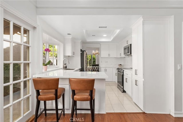 18 Blazing Star, Irvine, CA 92604 - kitchen with appliances with stainless steel finishes, a tray ceiling, a peninsula, light countertops, and a breakfast bar area