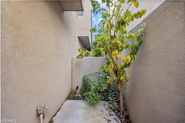 181 Carmine, Irvine, CA 92618 - photo 16