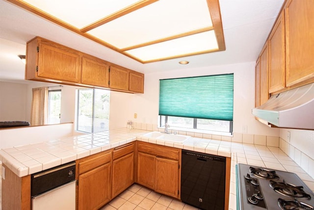 2432 Live Oak Rd, Escondido, CA 92029 - kitchen with dishwasher, gas stovetop, plenty of natural light, and a peninsula