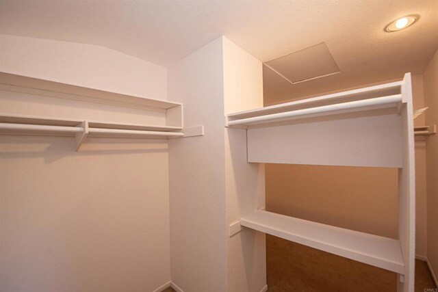 2432 Live Oak Rd, Escondido, CA 92029 - view of spacious closet
