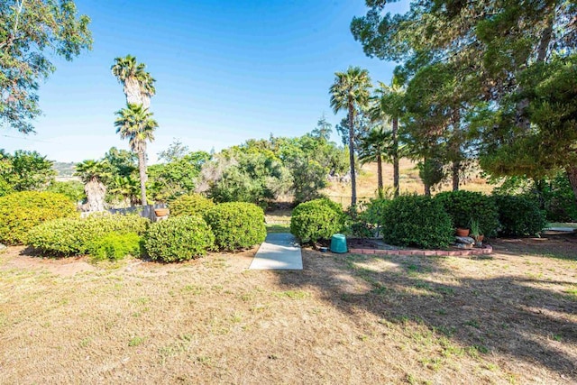 2432 Live Oak Rd, Escondido, CA 92029 - view of grassy yard