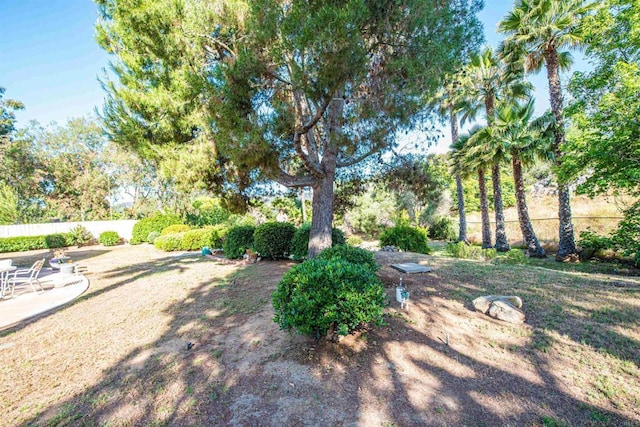 2432 Live Oak Rd, Escondido, CA 92029 - view of yard