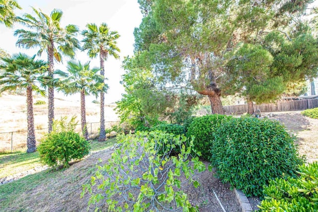 2432 Live Oak Rd, Escondido, CA 92029 - view of yard