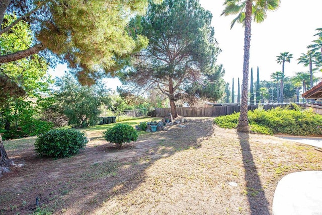 2432 Live Oak Rd, Escondido, CA 92029 - view of yard