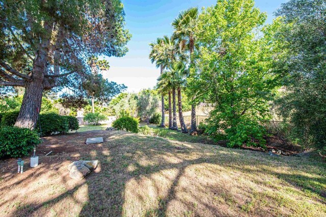 2432 Live Oak Rd, Escondido, CA 92029 - view of yard