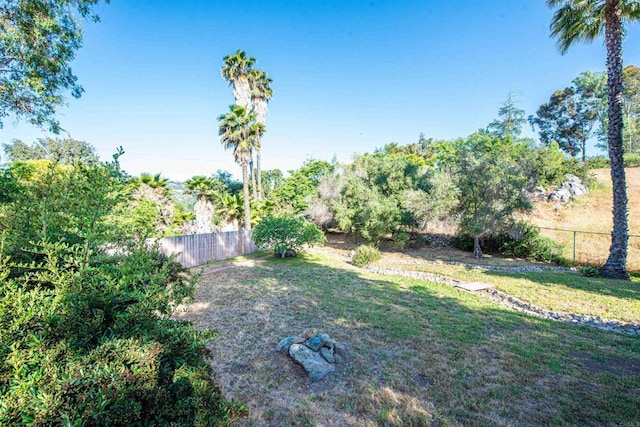 2432 Live Oak Rd, Escondido, CA 92029 - view of yard