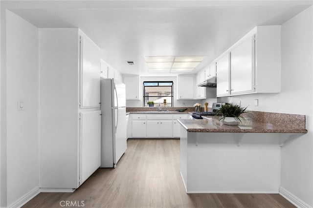 321 N Lincoln Ave Unit B, Monterey Park, CA 91755 - kitchen with freestanding refrigerator, range, a peninsula, under cabinet range hood, and light wood-style flooring