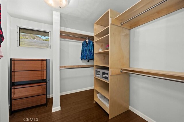 walk in closet featuring wood finished floors