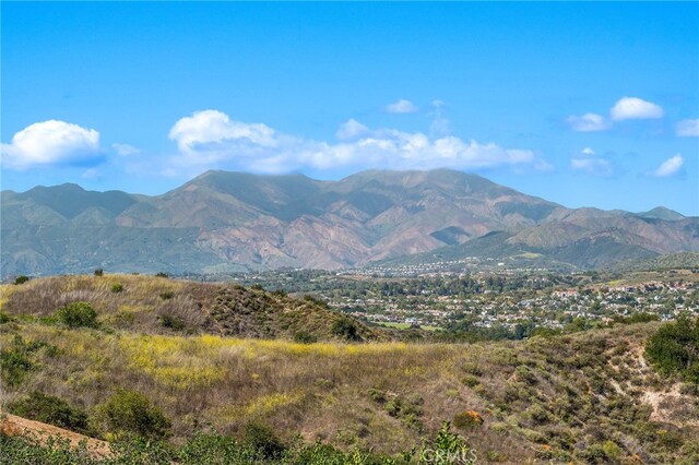 54 Panorama, Coto De Caza, CA 92679 - photo 65