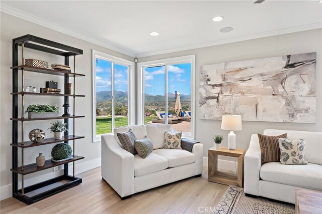54 Panorama, Coto De Caza, CA 92679 - photo 24