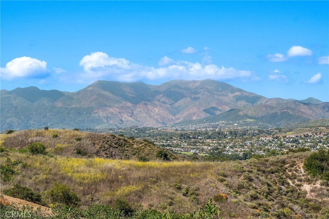 54 Panorama, Coto De Caza, CA 92679 - photo 73