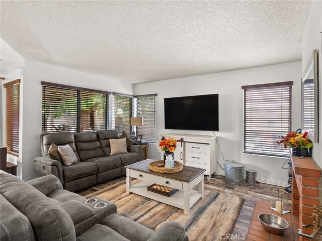 living room featuring wood finished floors, a textured ceiling, and baseboards