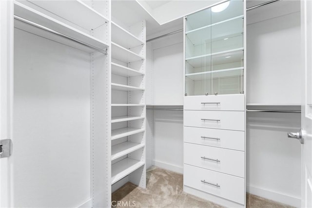 spacious closet with light carpet