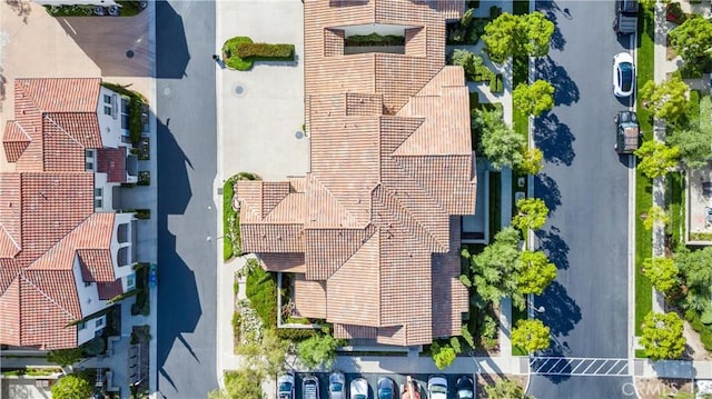 bird's eye view