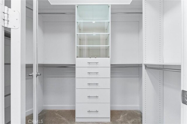 walk in closet featuring carpet floors