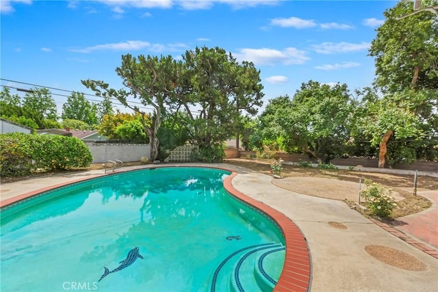 view of swimming pool with a fenced backyard