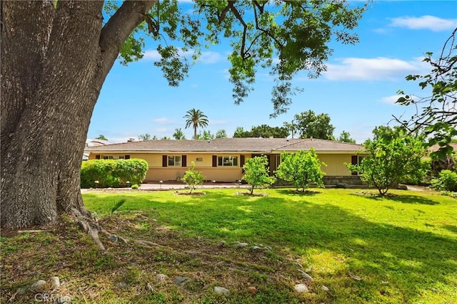 rear view of house with a yard