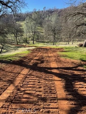1484 Oregon Gulch Rd, Oroville, CA 95965