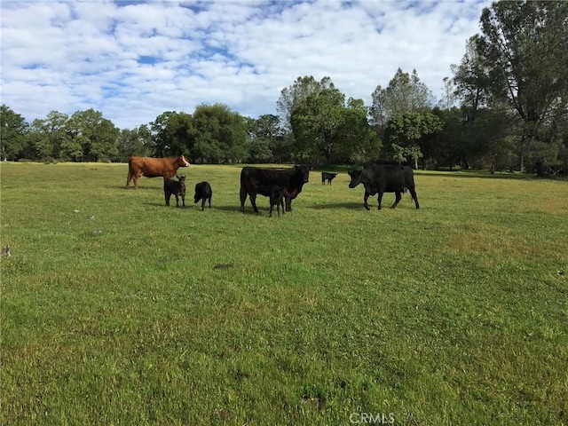 1484 Oregon Gulch Rd, Oroville, CA 95965