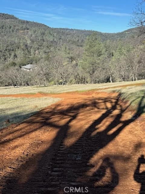 1484 Oregon Gulch Rd, Oroville, CA 95965