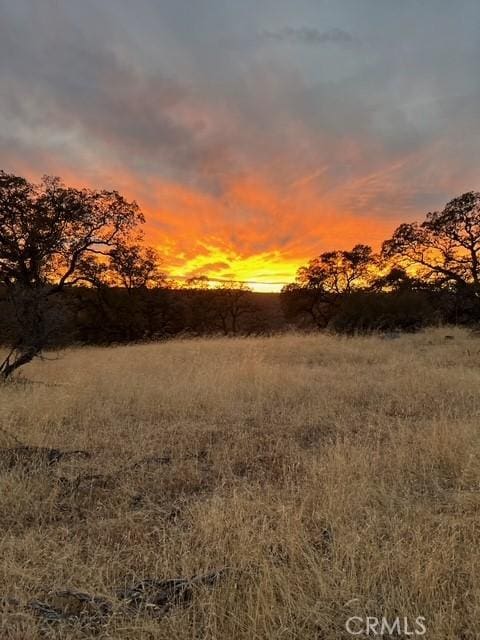1484 Oregon Gulch Rd, Oroville, CA 95965