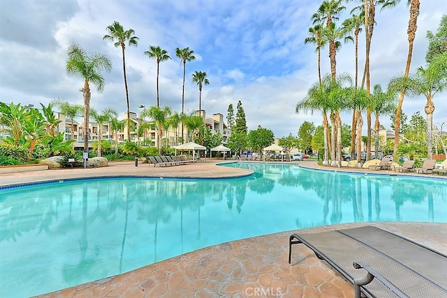 5545 Canoga Ave Unit 121, Woodland Hills, CA 91367 - photo 17