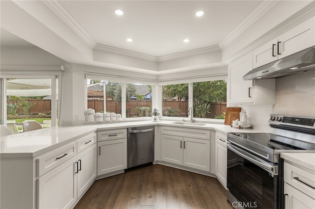 24772 Eldamar Ave, Lake Forest, CA 92630 - kitchen with appliances with stainless steel finishes, a sink, under cabinet range hood, crown molding, and a peninsula