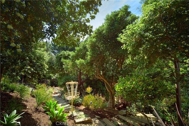 333 Milford Dr, Corona Del Mar, CA 92625 - photo 42