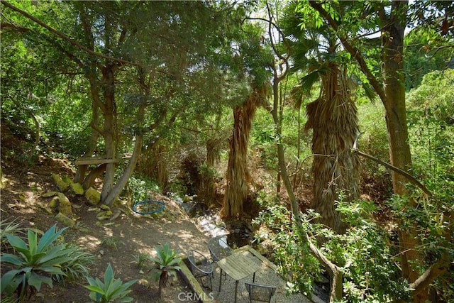 333 Milford Dr, Corona Del Mar, CA 92625 - photo 39