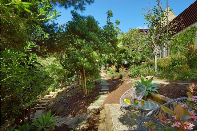 333 Milford Dr, Corona Del Mar, CA 92625 - photo 40