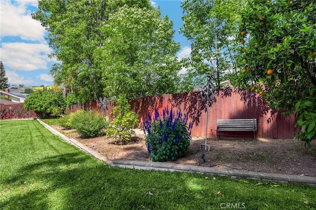 1412 Alta Mesa Way, Brea, CA 92821 - view of yard