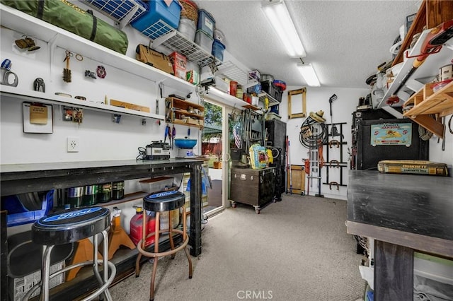 1412 Alta Mesa Way, Brea, CA 92821 - view of storage area