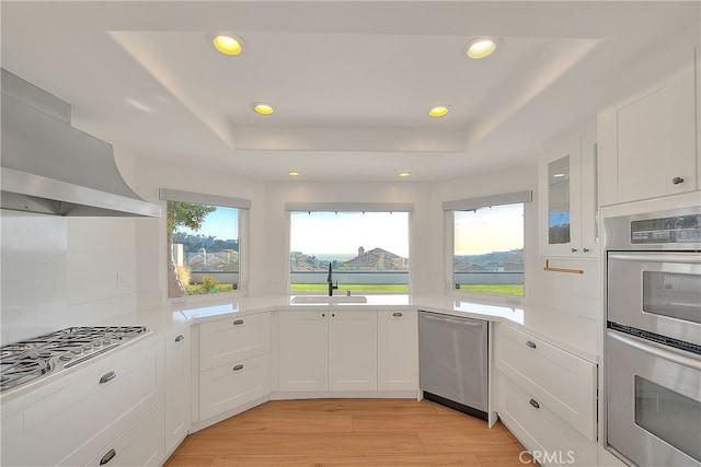 27 Burriana, San Clemente, CA 92672 - kitchen featuring appliances with stainless steel finishes, a sink, a tray ceiling, light countertops, and light wood-style flooring