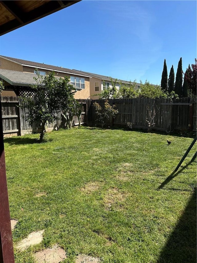 336 Pyramid Ave, Merced, CA 95341 - view of yard