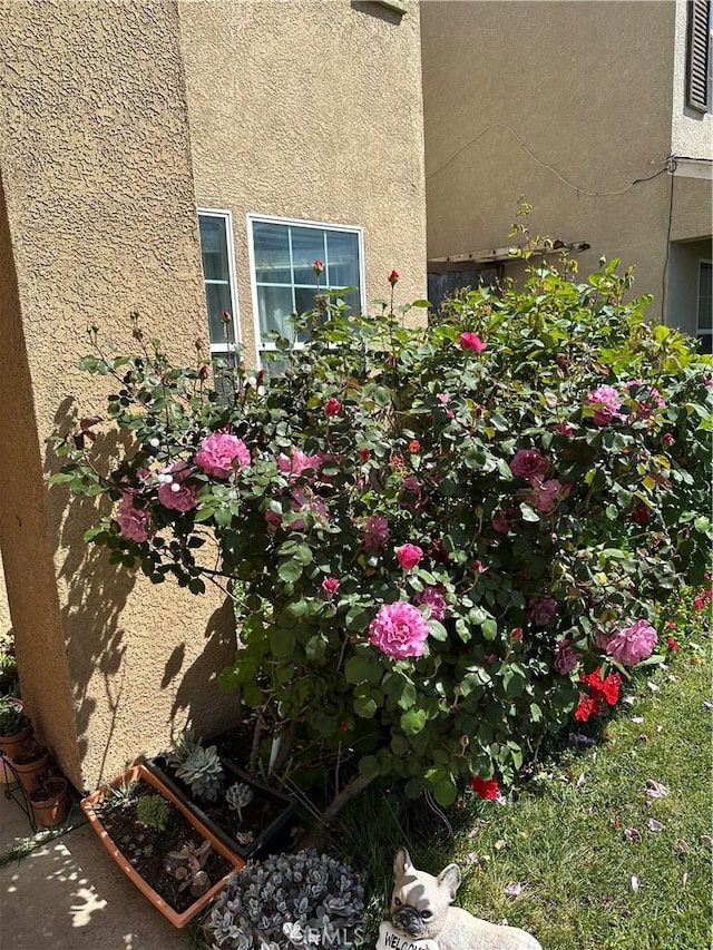 336 Pyramid Ave, Merced, CA 95341 - exterior view of stucco siding