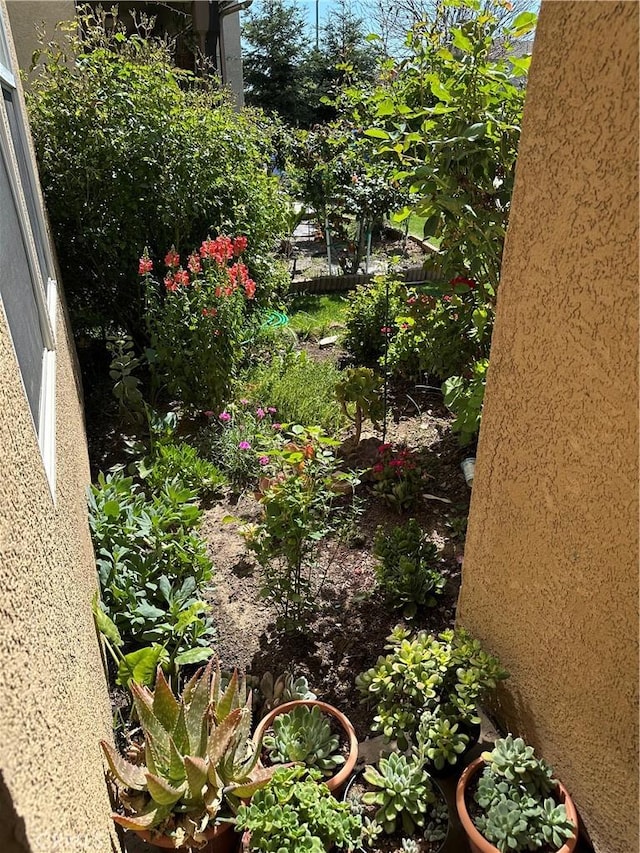 336 Pyramid Ave, Merced, CA 95341 - view of yard