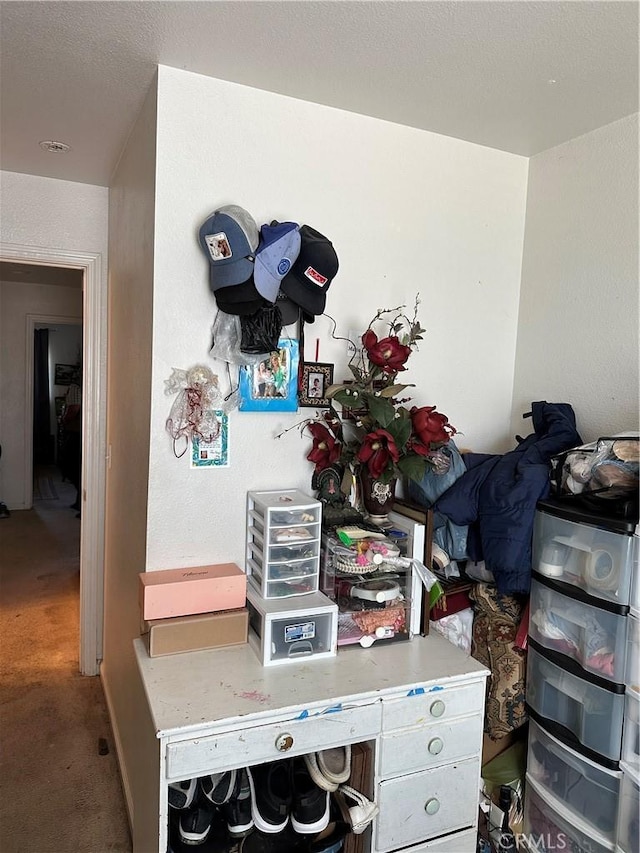 336 Pyramid Ave, Merced, CA 95341 - detailed view of carpet