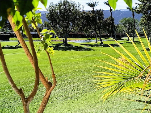6 Whittier Ct, Rancho Mirage, CA 92270 - view of property's community featuring a lawn and a water and mountain view