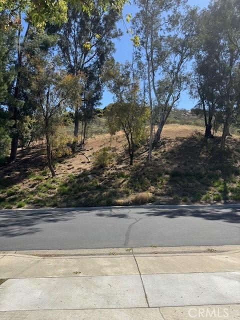 512 Via Ln, Paloma, Riverside, CA 92507 - view of street