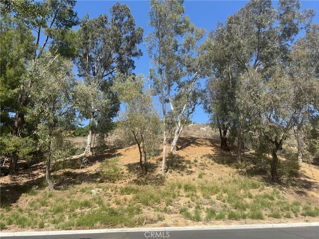 512 Via Ln, Paloma, Riverside, CA 92507 - view of undeveloped land